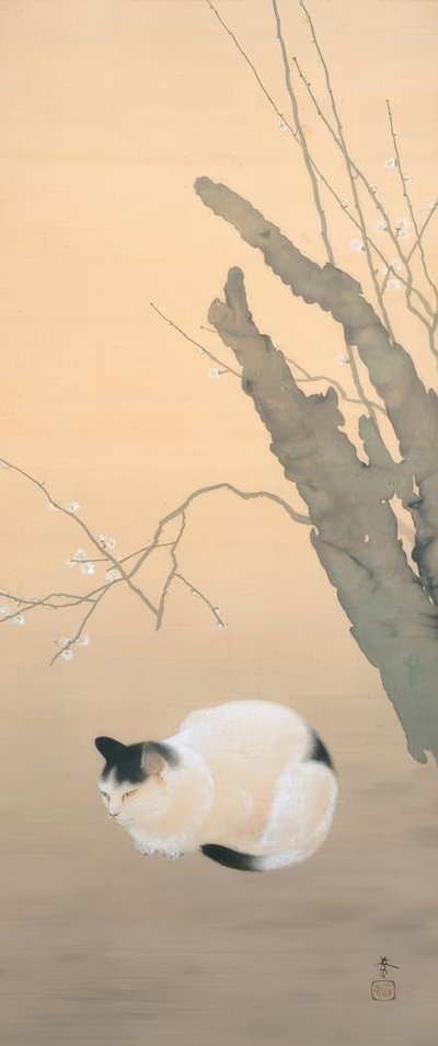Hishida Shunso, Cat and Plum Blossoms by Hishida shunso